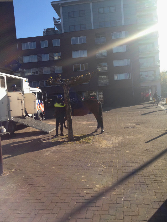 Normen luchtvervuiling